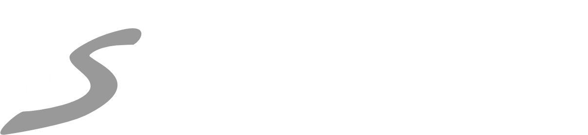 Bequen Sierra CEO